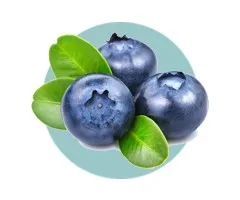 Bilberry Extract in ClearVue+™ vision support formula